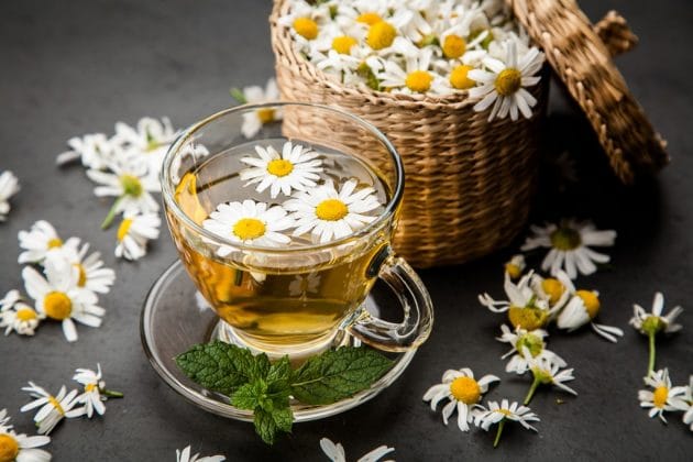 Cesto cheio de flores, margaridas e uma xícara de chá de camomila