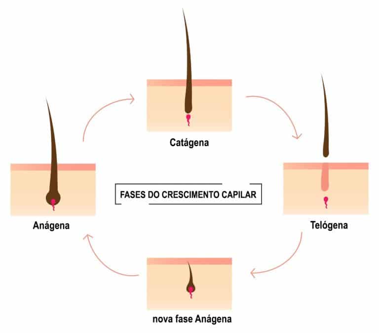 Conheça o Ciclo de Vida do Cabelo e Suas Fases