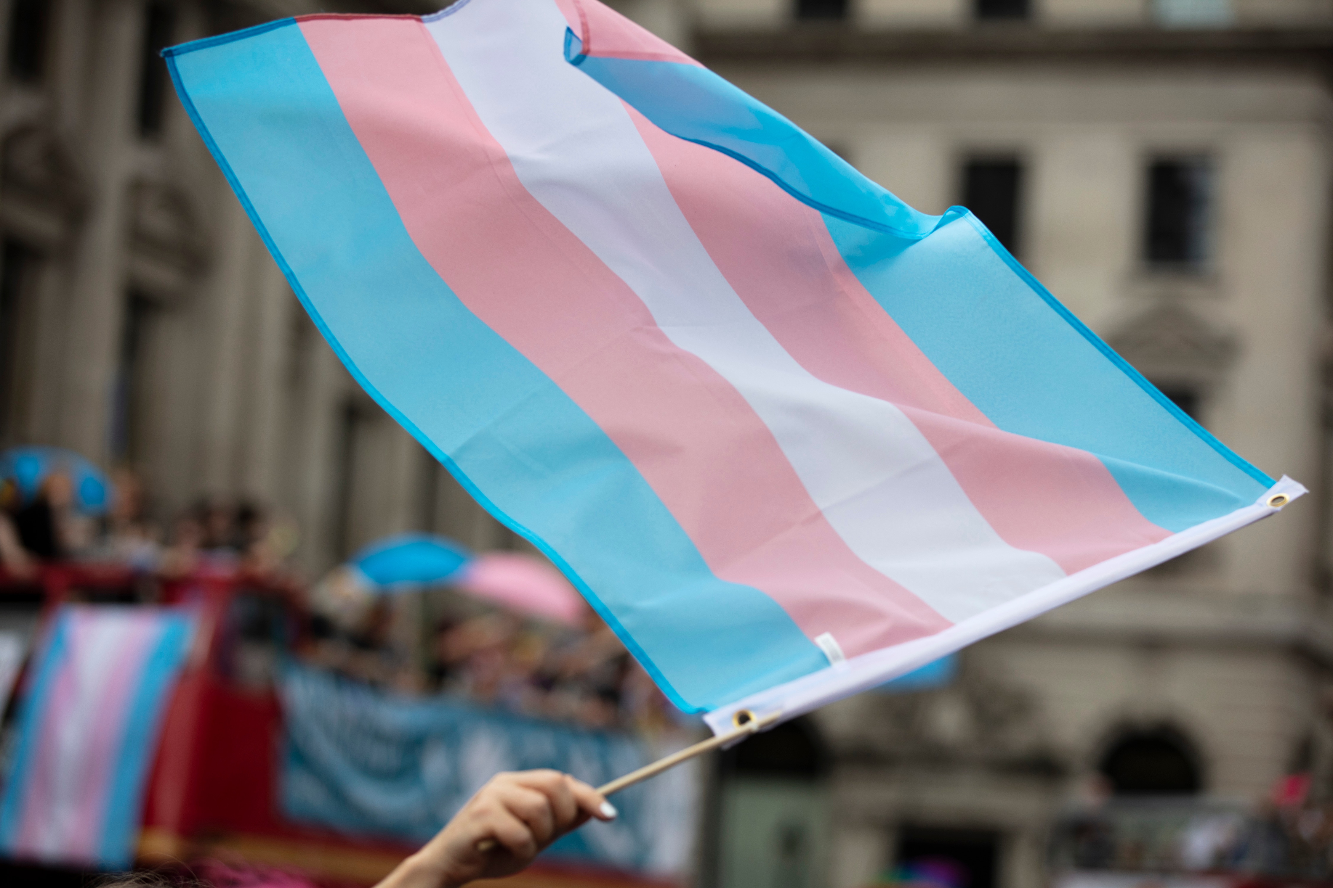  bandeira-transfobia