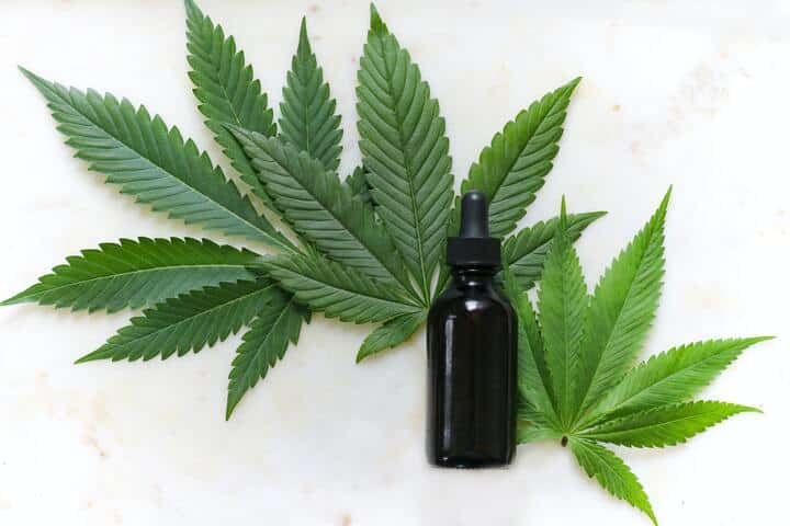 CBD: entenda quais os benefícios do óleo de canabidiol